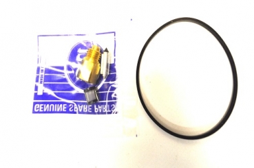 FLOAT NEEDLE/SEAT FOR HIF38/44 LARGER TYPE VALVE